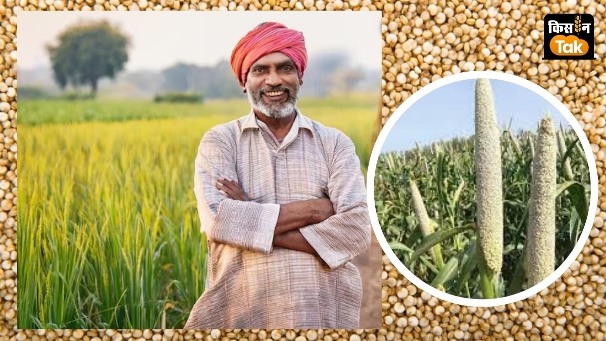 धान और श्रीअन्न फसलों की सरकारी खरीद के लिए तारीखें जारी, किसान इस डेट तक जरूर करा लें रजिस्ट्रेशन 