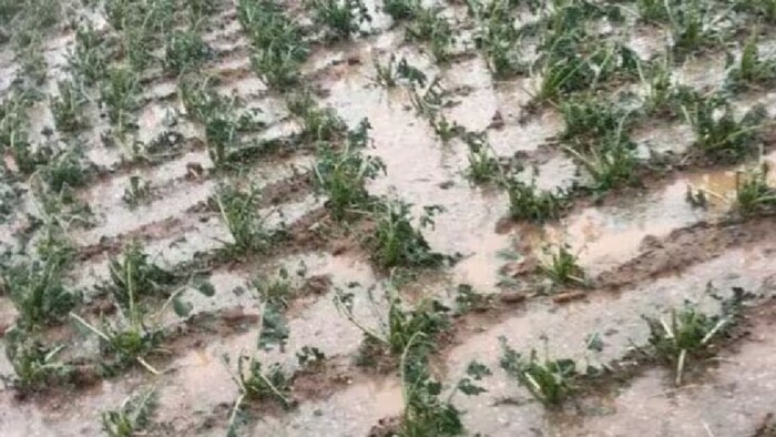 किसानों, ग्रामीणों के नुकसान की भरपाई के लिए केंद्र ने 3,448 करोड़ रुपये की राहत देने की घोषणा की है.