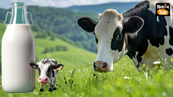 हिमाचल बजट में गाय के दूध के लिए 38 रुपये से 45 रुपये प्रति लीटर किया गया है.