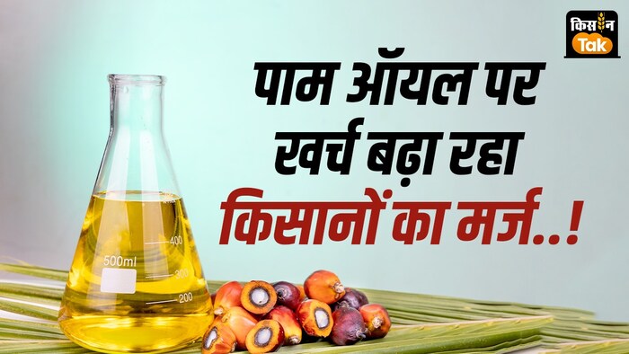 पाम ऑयल इंपोर्ट नीति सरसों और सोयाबीन किसानों को नुकसान पहुंचा रही है
