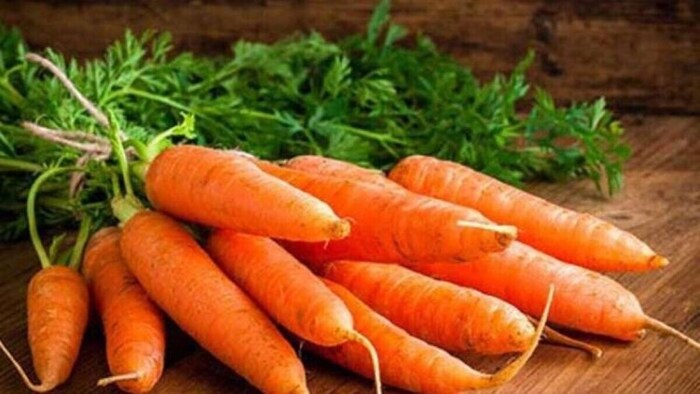 गाजर की खेती से किसान बना करोड़पति. (सांकेतिक फोटो)