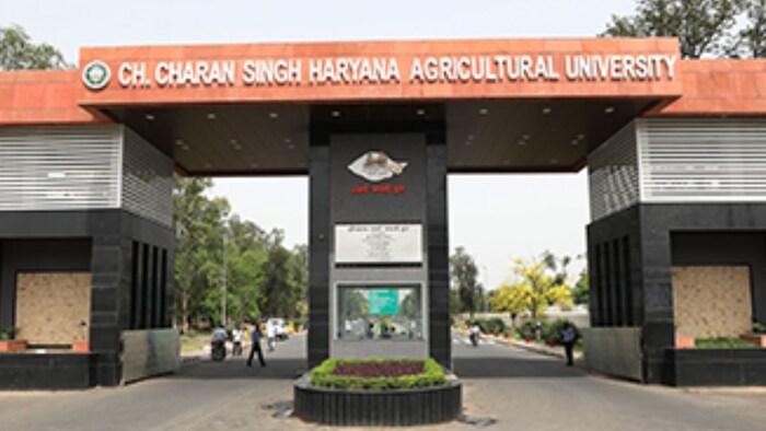 चौधरी चरण सिंह हरियाणा कृषि विश्वविद्यालय. (फाइल फोटो)