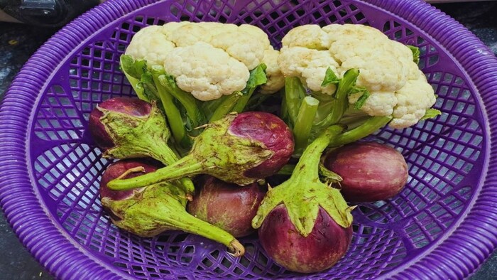 किस सब्जी की किस्म है PSBK-1