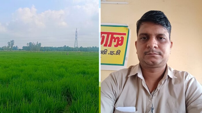 इस समय हो रही बारिश धान की फसल के लिए बेहतर है. (Photo-Kisan Tak)