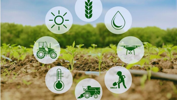 बिहार सरकार की सब्सिडी