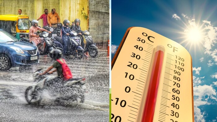 उत्तर प्रदेश में बारिश का सिलसिला कुछ दिनों के लिए थम सा गया है. (Photo-Kisan Tak)