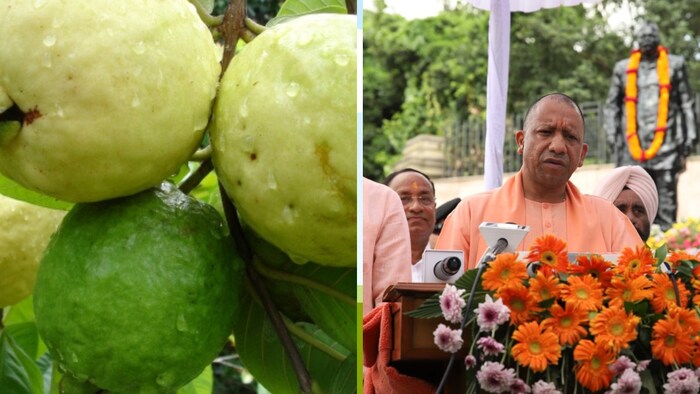 योगी सरकार शीघ्र ले सकती है एक्शन (Photo-Kisan Tak)