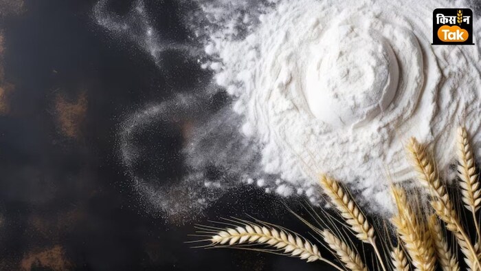 केंद्र सरकार ने गेहूं की स्टॉक लिमिट संशोधित कर दी है.