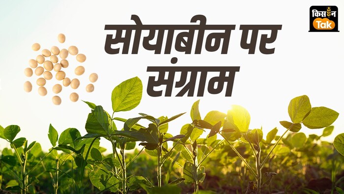 सोयाबीन किसान इन दिनों दामों में बढ़ोतरी की मांग को लेकर आंदोलन कर रहे हैं