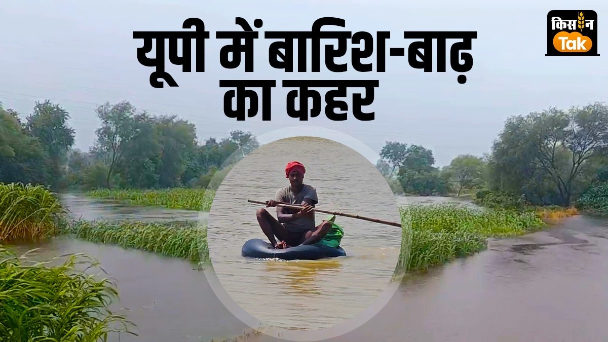 यूपी में बाढ़ ने मचाई तबाही, किसान हैरान-परेशान