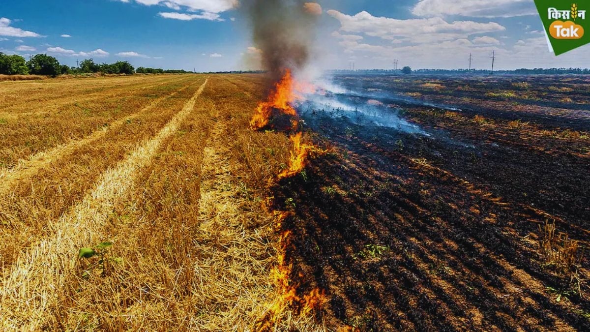 किसानों पर जुर्माना लगाना घोर अन्याय