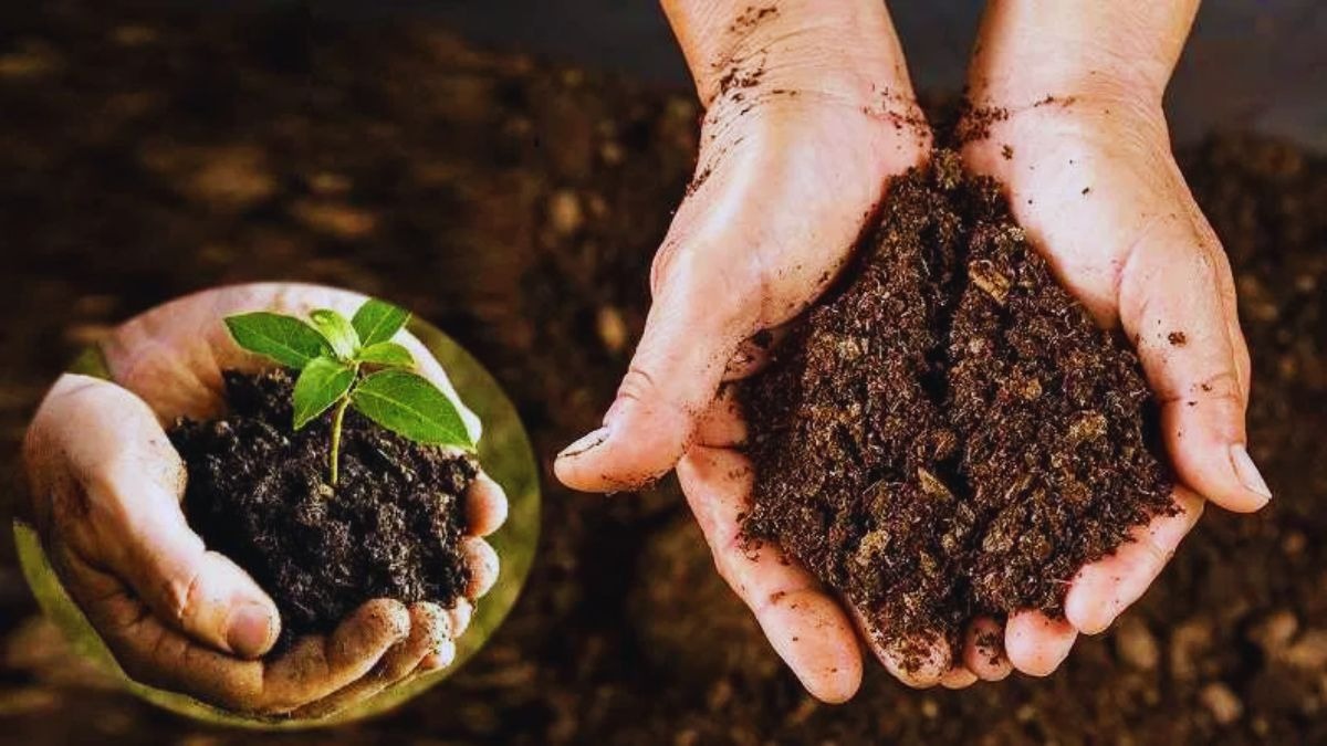 जैविक खाद