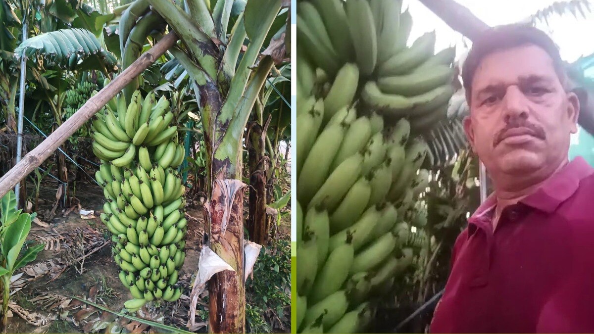 बाराबंकी के प्रगतिशील किसान दिग्विजय सिंह (Photo-Kisan Tak)