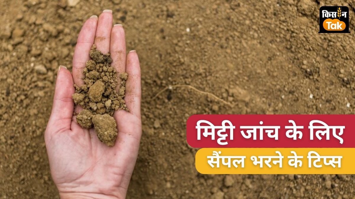 मिट्टी की जांच के लिए गांव स्तर पर सर्वाधिक सॉइल टेस्ट लैब कर्नाटक में 291 हैं.