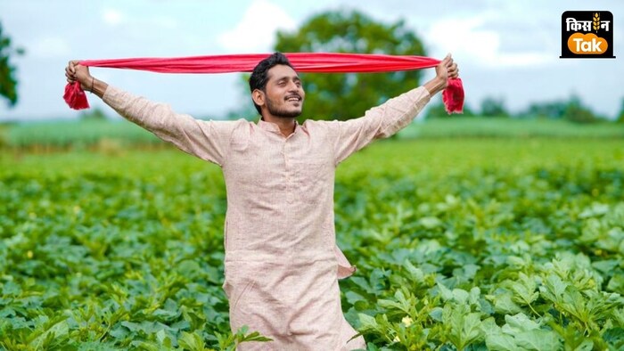 खरीफ फसलों का कुल बुआई रकबा बढ़कर 1104 लाख हेक्टेयर से अधिक हो गया है.