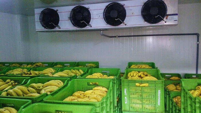 राइपनिंग चैंबर पर सब्सिडी