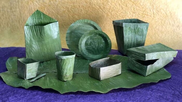 किसान केले के पत्ते से कर सकते हैं कमाई, फोटो सौजन्य, BLT