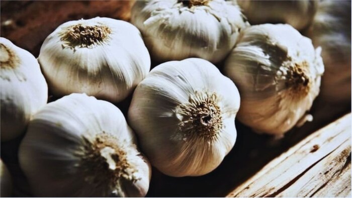 चाइनीज लहसुन