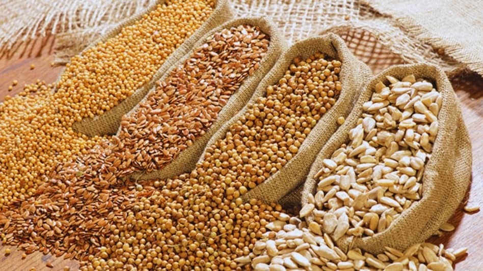 Agri Quiz: किस फसल की वैरायटी है क्रांति, इसकी अन्य किस्मों के बारे में भी जानें Agri Quiz: किस फसल की वैरायटी है क्रांति, इसकी अन्य किस्मों के बारे में भी जानें