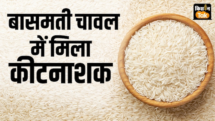 बासमती चावल में कीटनाशकों का अधिकतम अवशेष स्तर कितना है?