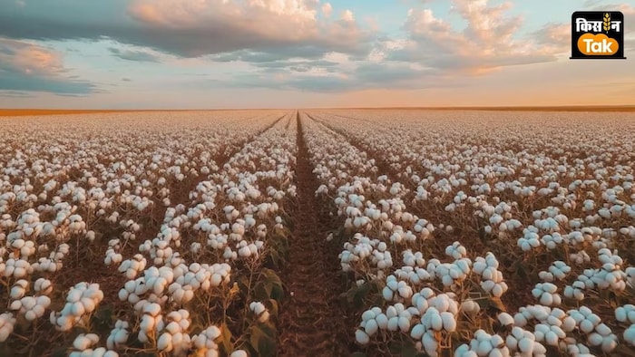 जलवायु बदलाव का बुरा असर 50 फीसदी से अधिक किसानों को झेलना पड़ा है.