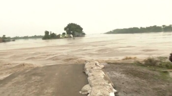 बिहार में बाढ़ से फसल प्रभावित. (फाइल फोटो)