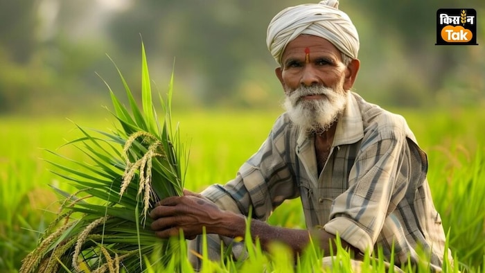 किसानों को धान का दाम 3100 रुपये प्रति क्विंटल देने का वादा किया है.