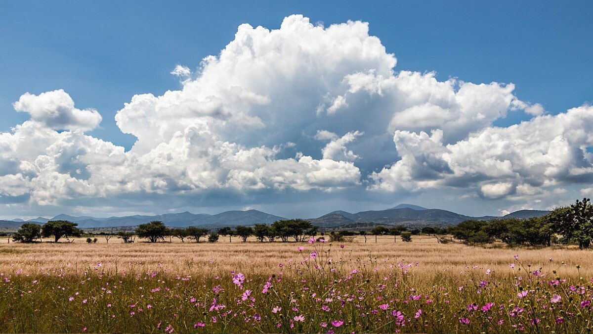 UP Weather: अक्टूबर में भीषण गर्मी और उमस के लिए हो जाइये तैयार, जानें कैसा रहेगा आज यूपी का मौसम