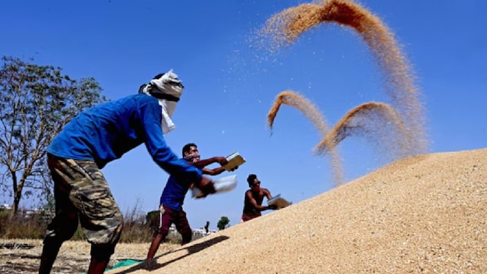 पंजाब सरकार ने मंडियों के श्रमिकों की मजदूरी में बढ़ोत्तरी की है.