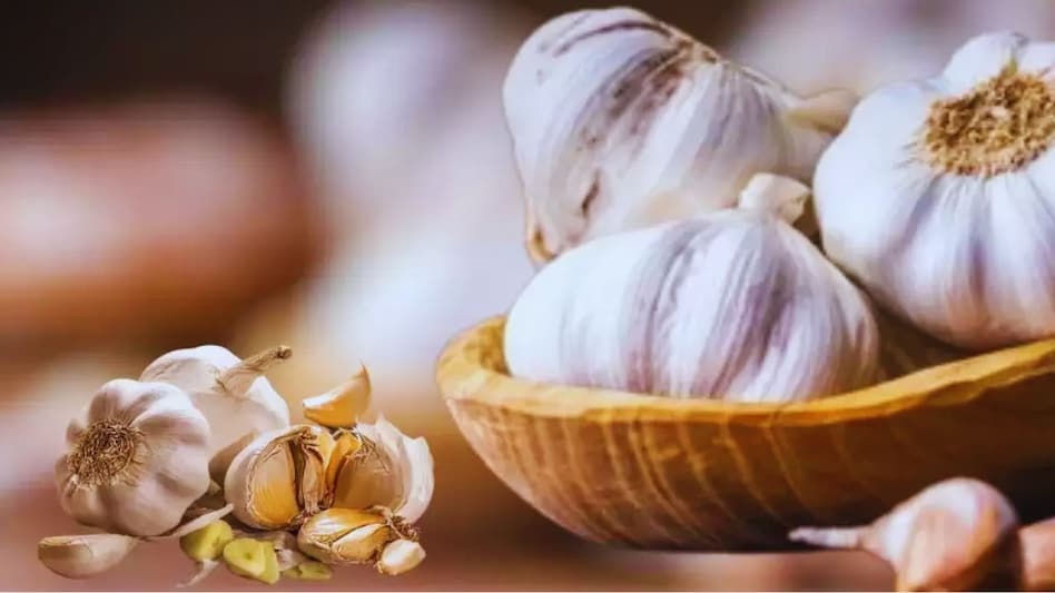 भारत में इतना क्यों बिक रहा चाइनीज लहसुन? दाम और काम में क्या है अंतर भारत में इतना क्यों बिक रहा चाइनीज लहसुन? दाम और काम में क्या है अंतर