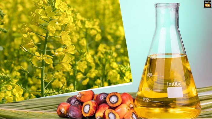 सरसों के तेल का थोक भाव क्या है?