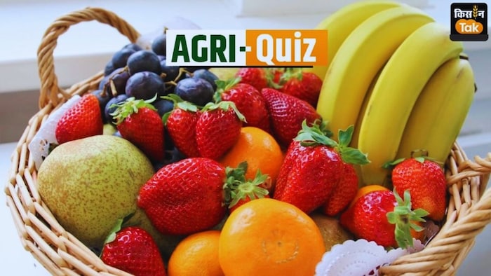 किस फल की वैरायटी है पूसा नन्हा