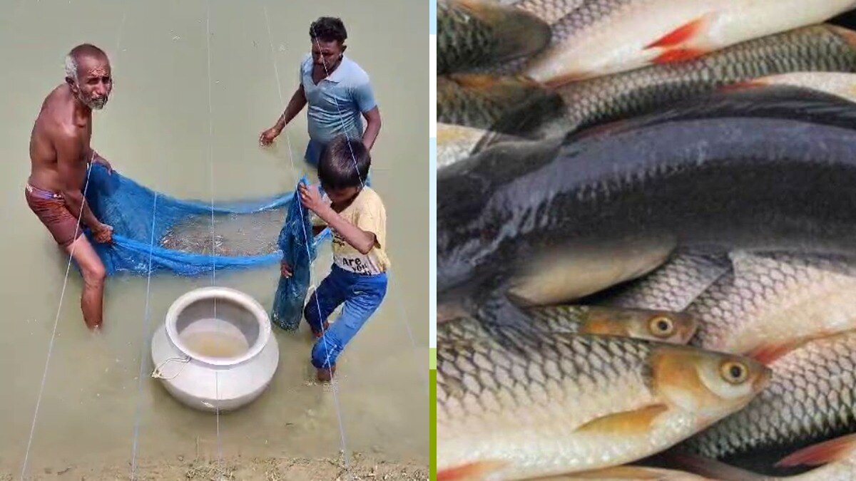 यूपी में मछुआ सहकारी समितियों के गठन के लिए खुला पोर्टल, फटाफट करें आज आवेदन
