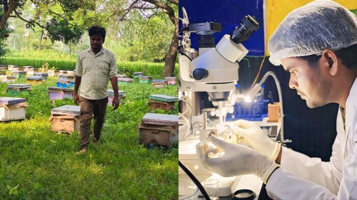 अजीत कुमार ने बी- कीपींग में ज्यादा शहद उत्पादन वाली AI तकनीक का इनोवेटिव आइडिया