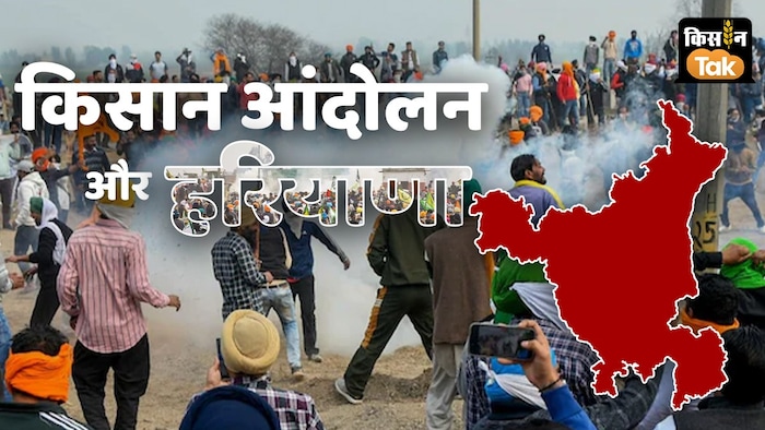 हरियाणा में किसान आंदोलन के करंट को कंट्रोल करने में बीजेपी सफल रही है