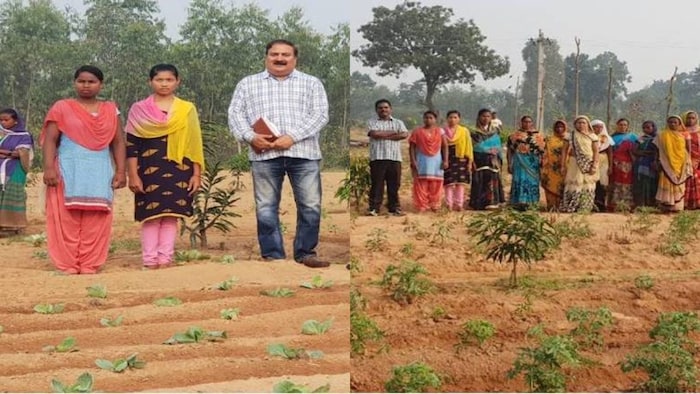 छत्तीसगढ़ में महिलाएं कर रही कृषि वानिकी के साथ बागवानी