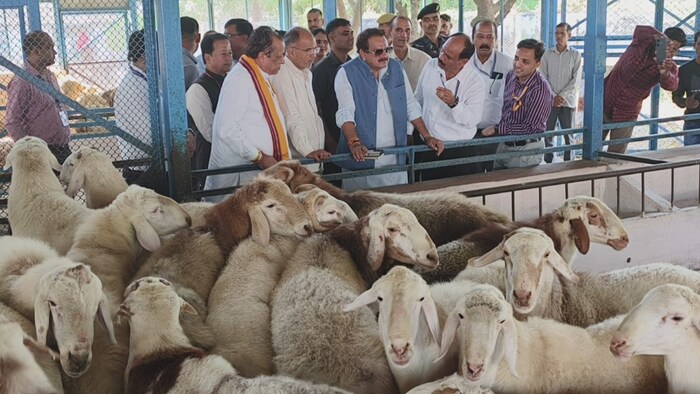 भेड़-बकरी, गाय-भैंस समेत अन्य पशुओं के तुरंत इलाज के लिए वेटरनरी वैन चलेंगी.