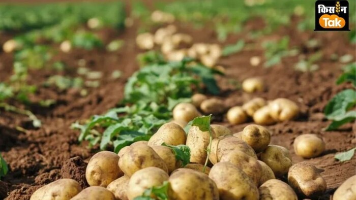 रबी फसलों की बुआई में आधुनिक मशीनों का उपयोग से कई लाभ