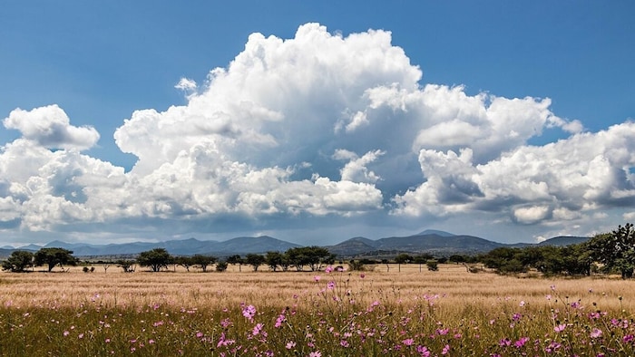 दो दिन आंशिक रूप से छाए रहेंगे बादल