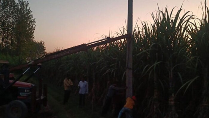 किसान के खेत में लगा बिजली का खंभा. फोटो- सीएमओ उत्तराखंड