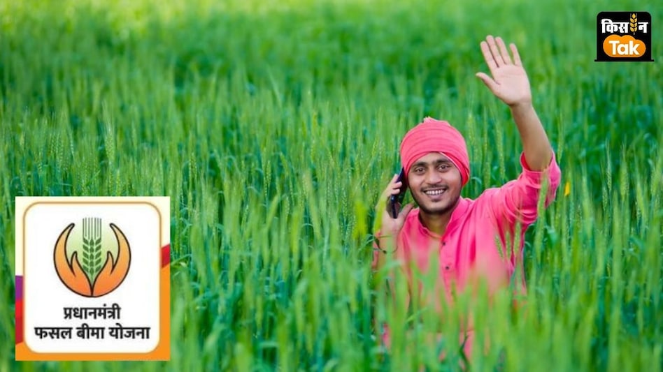 PMFBY: फसल बीमा के लिए देना होगा 1.5 फीसदी प्रीमियम, नुकसान पर मिलेंगे 1.20 लाख रुपये, देखें कैलकुलेशन PMFBY: फसल बीमा के लिए देना होगा 1.5 फीसदी प्रीमियम, नुकसान पर मिलेंगे 1.20 लाख रुपये, देखें कैलकुलेशन
