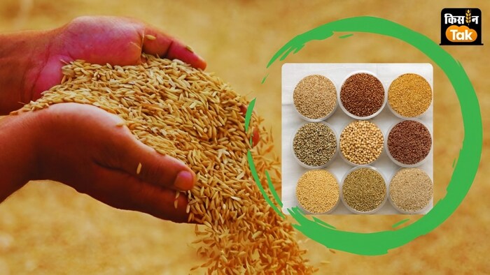 धान खरीदेगी सरकार