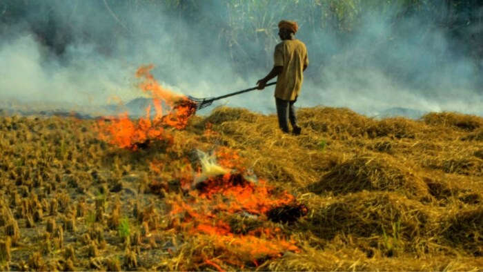 Stubble Burning