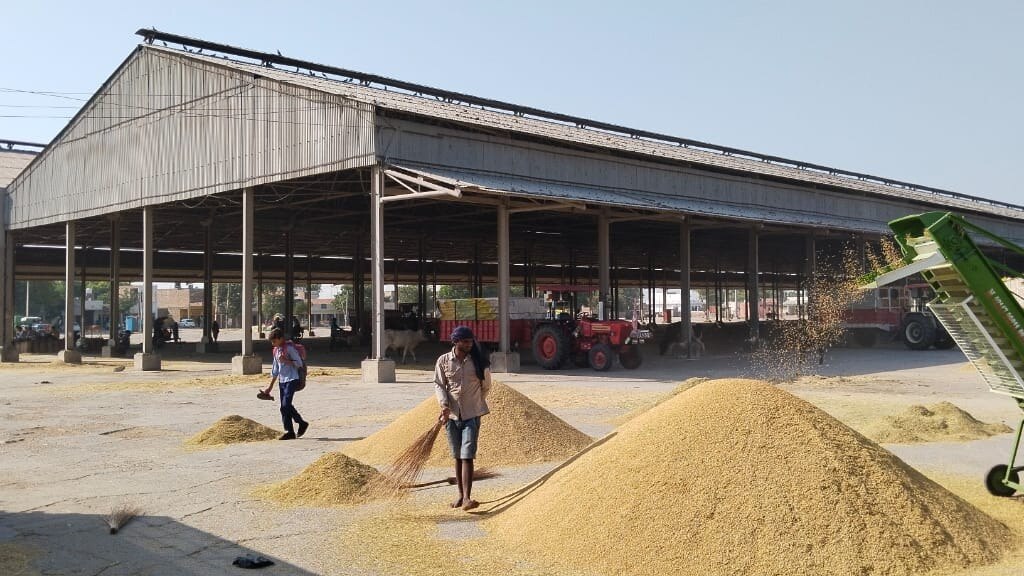 करनाल में सड़क किनारे धान से लदे ट्रैक्टर-टॉलियों की लगी कतारें, किसानों में भारी नाराजगी, पढ़े डिटेल्स