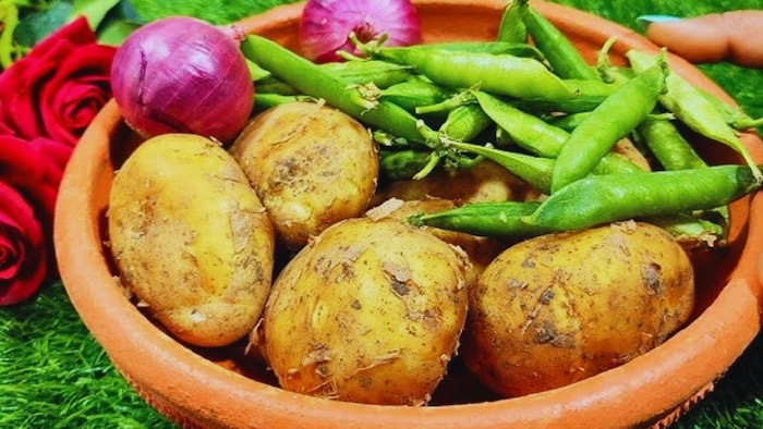 कुफरी सिंदूरी किस्म