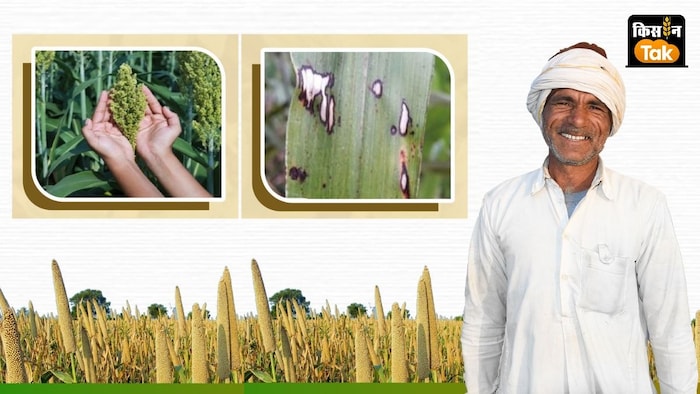 श्रीअन्न फसलों में ज्वार का रकबा करीब 2 लाख हेक्टेयर बढ़ा है.