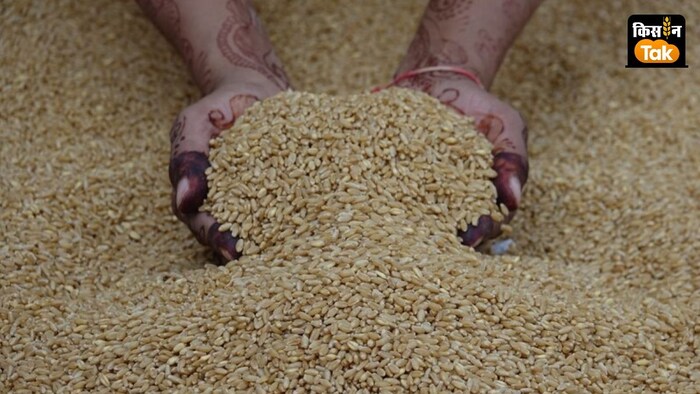 गेहूं के लिए 1150 लाख टन उत्पादन का लक्ष्य रखा है.