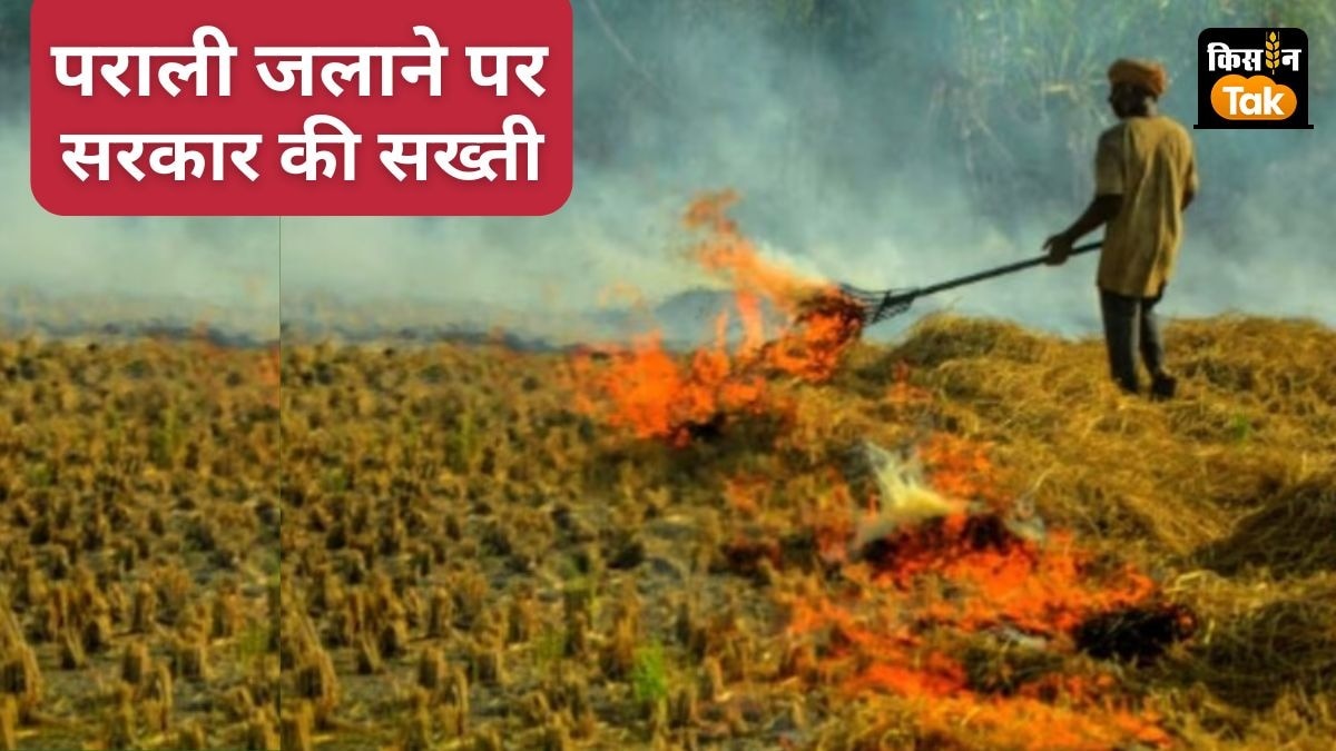 पराली जलाने वाले किसानों पर हरियाणा सरकार ने सख्ती बढ़ाई है.