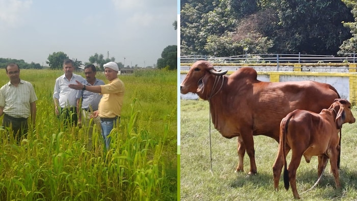 बाहर से आकर किसान सीखते हैं खेती और पशुपालन की तकनीक (Photo Credit-Kisan Tak)