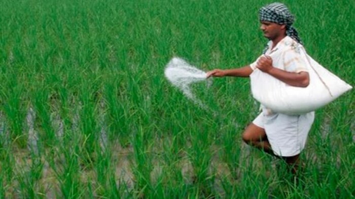 सीहोर में खाद के लिए किसानों की लग रही लंबी कतार. (सांकेतिक तस्वीर)